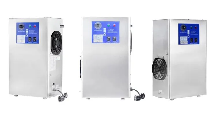 China Bnp Manufacturer Cheap Oz-5g Home Ozone Generator Air Purifier for Sale Pool Water Treatment